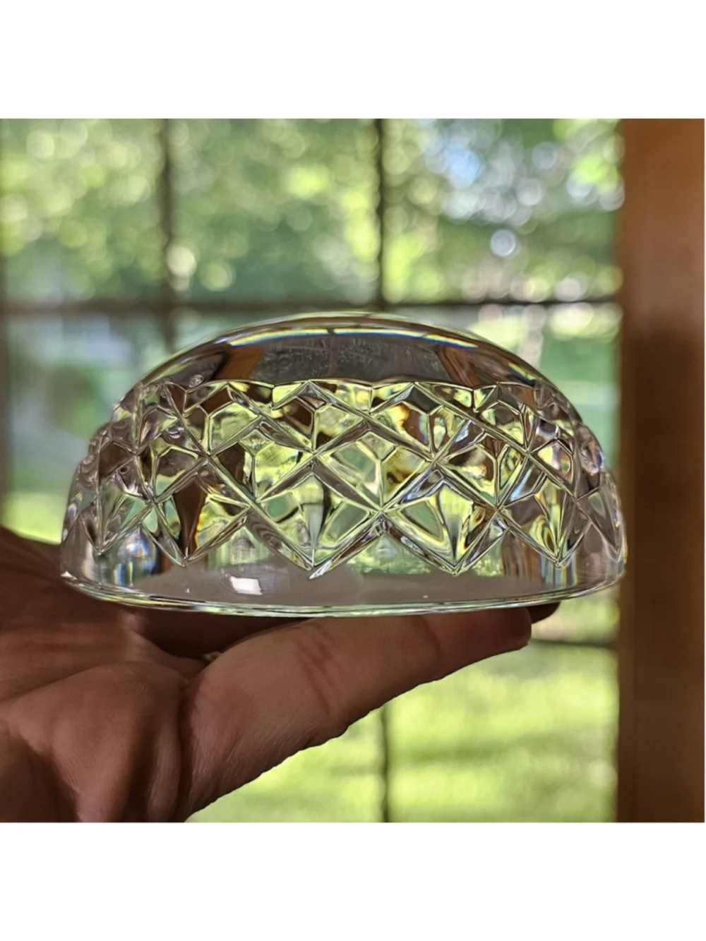 Waterford Crystal Round Domed Paperweight Frosted Intaglio Tulip Flower